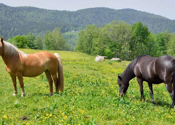 Bed & Breakfast D'hotes F.mathieu 3*