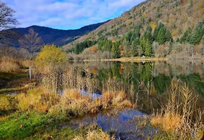 Bed & Breakfast D'hotes F.mathieu Saint-Maurice-sur-Moselle